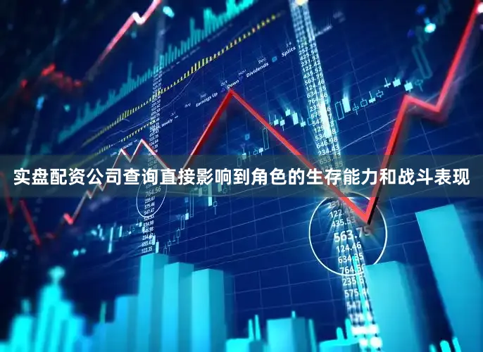 实盘配资公司查询直接影响到角色的生存能力和战斗表现